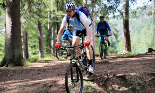 Anfänger in einem Mountainbikekurs Anfänger in einem Mountainbikekurs